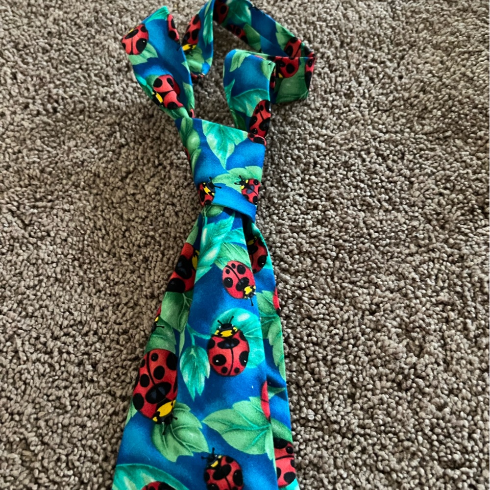 Dartha’s Designs ladybug original necktie
